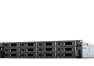 Synology RackStation RS2421+