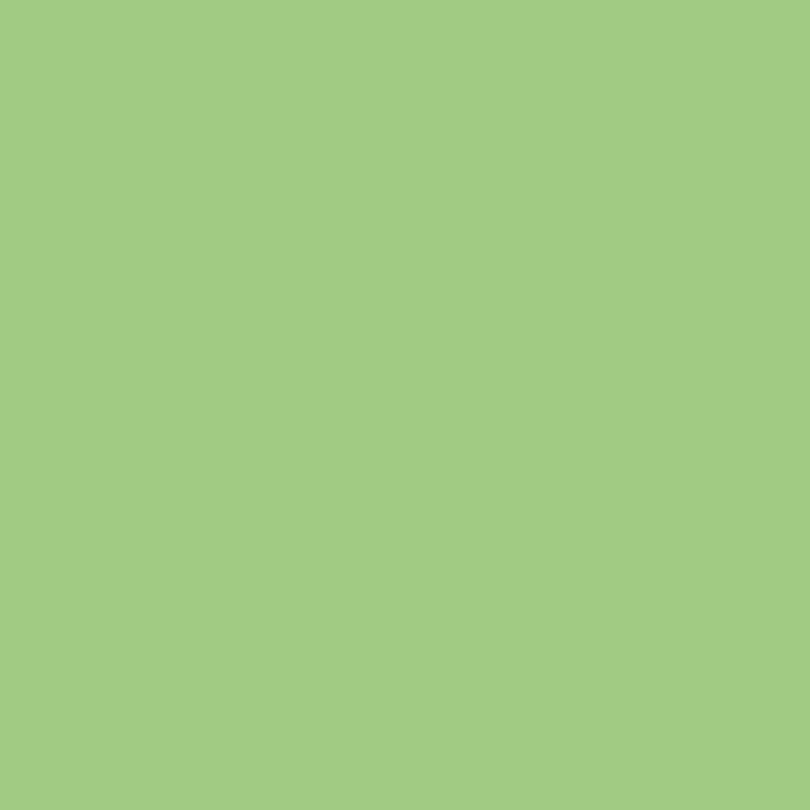 APPS190 BRIEFCARD CARTON A4 160GR 250SH. GREEN - Image 1
